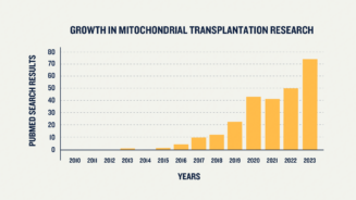 A chart showing the growth of mitochondrial transplantation research since the early 2010s