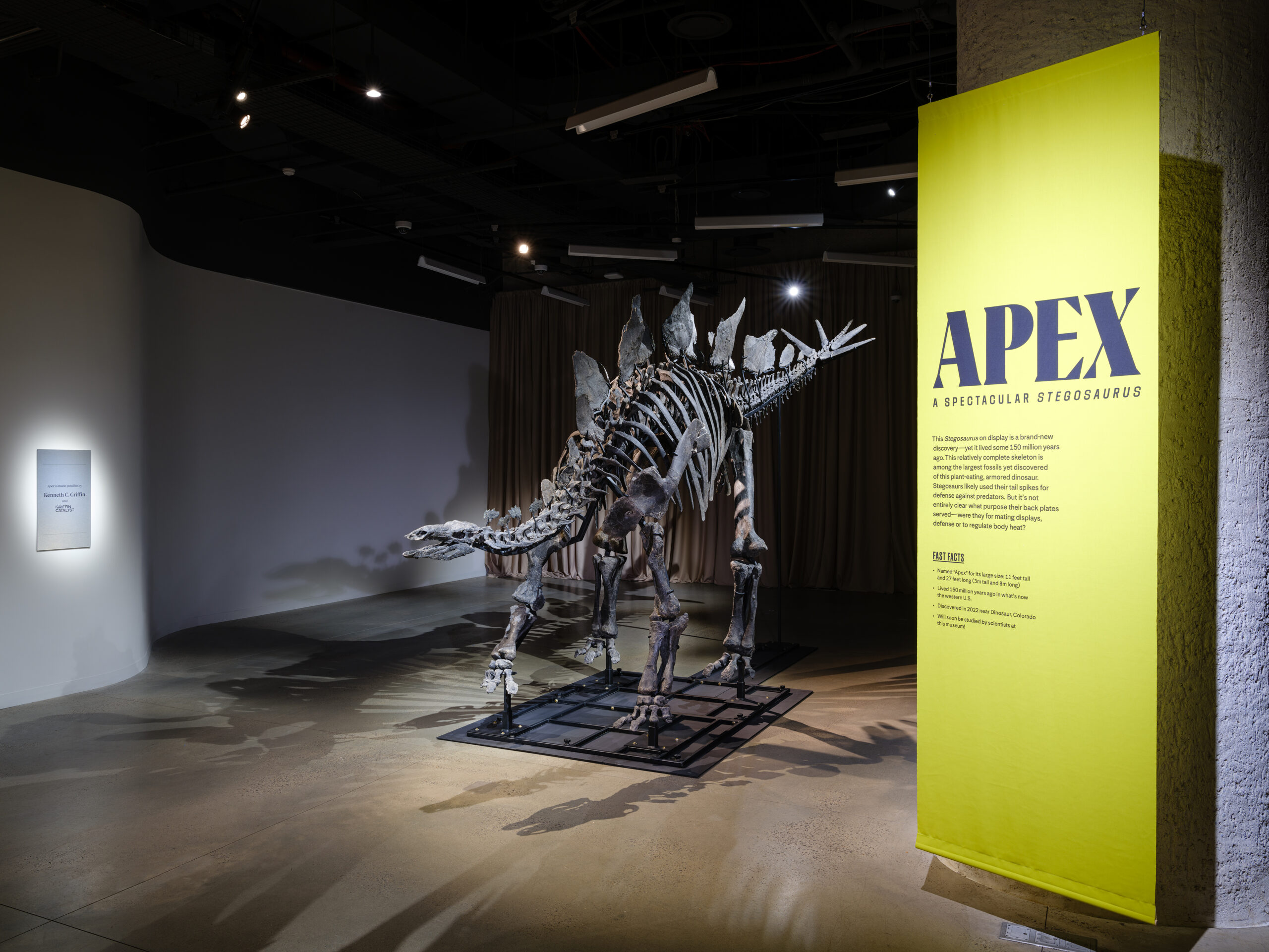 Griffin Catalyst | Apex Arrives at the American Museum of Natural